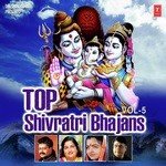 Top Shivratri Bhajans Vol - 5 - Tripti Shakya Song Download